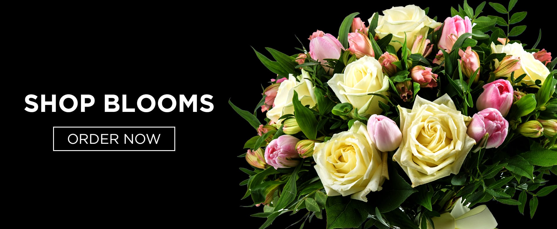 Jackson Florist Flower Delivery by A Daisy A Day