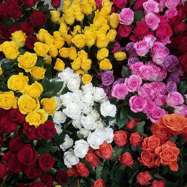 Welcome to Our New Site!