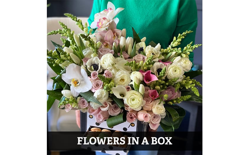 Miami Beach Florist Flower Delivery by Flower Details