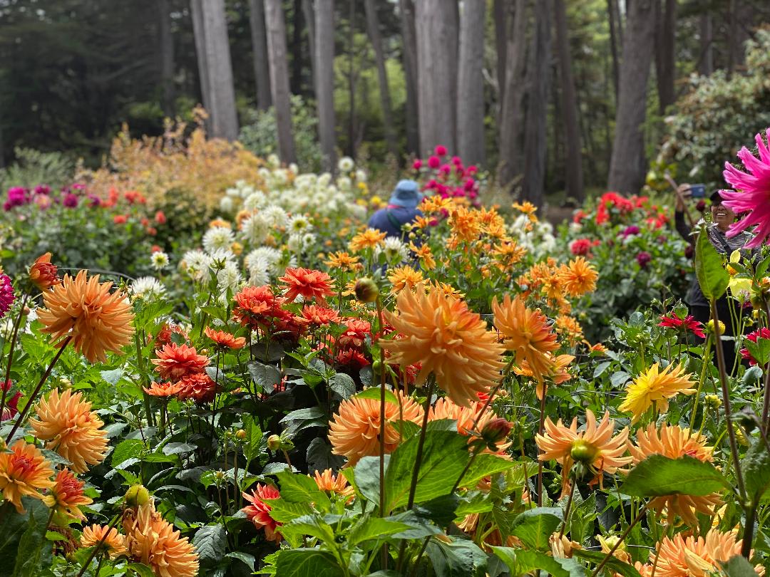 Let The Flowers Heal You