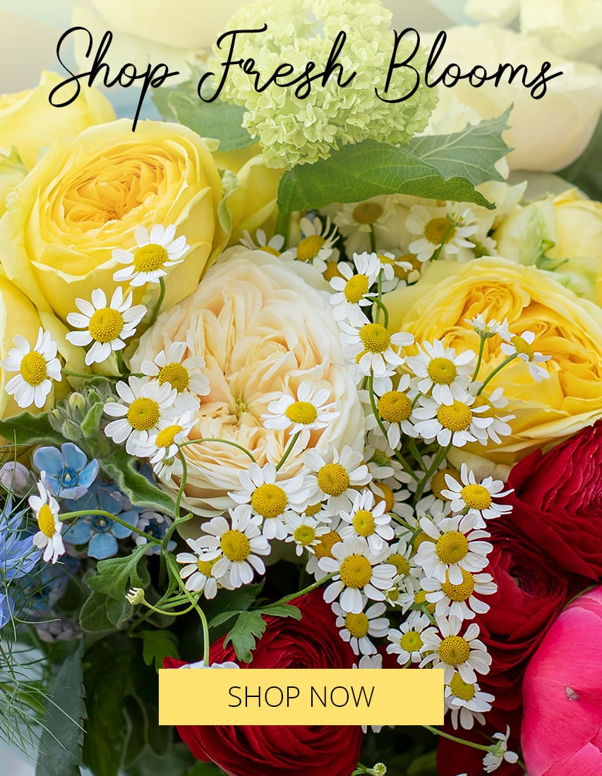 Quincy Florist Flower Delivery by Blumen Haus Boston