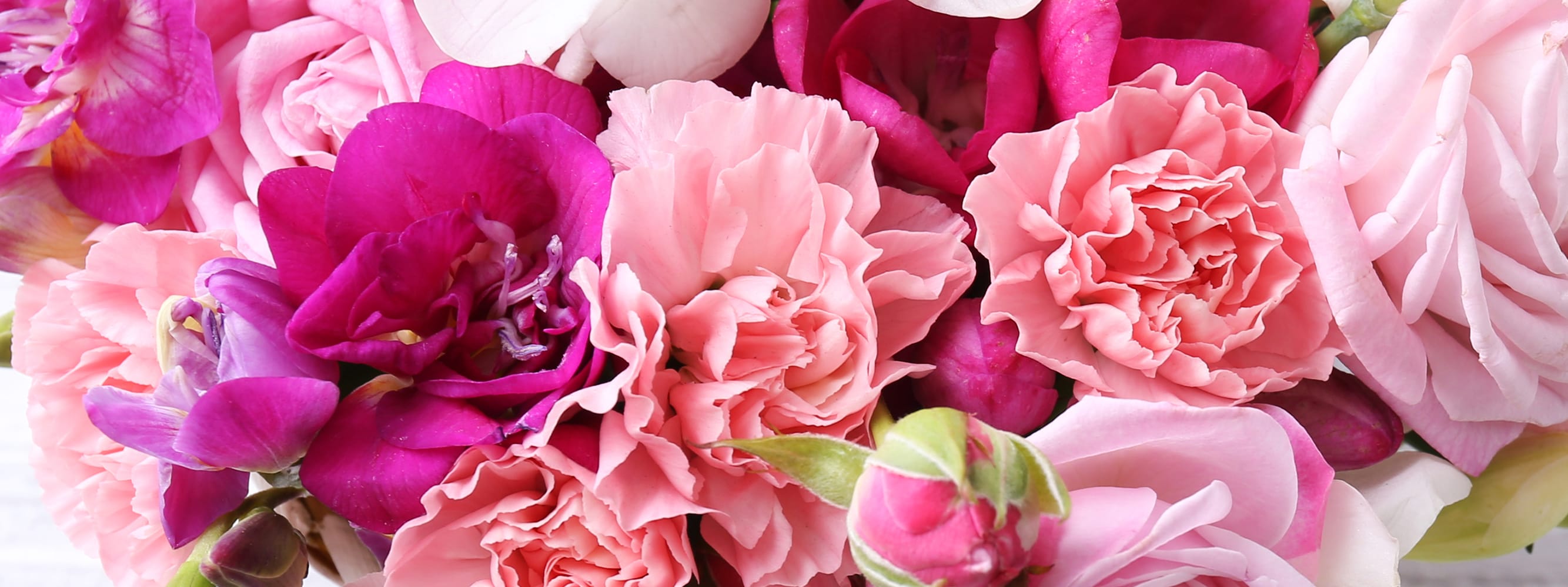 Tucson Florist Flower Delivery by Bloomie's Flowers