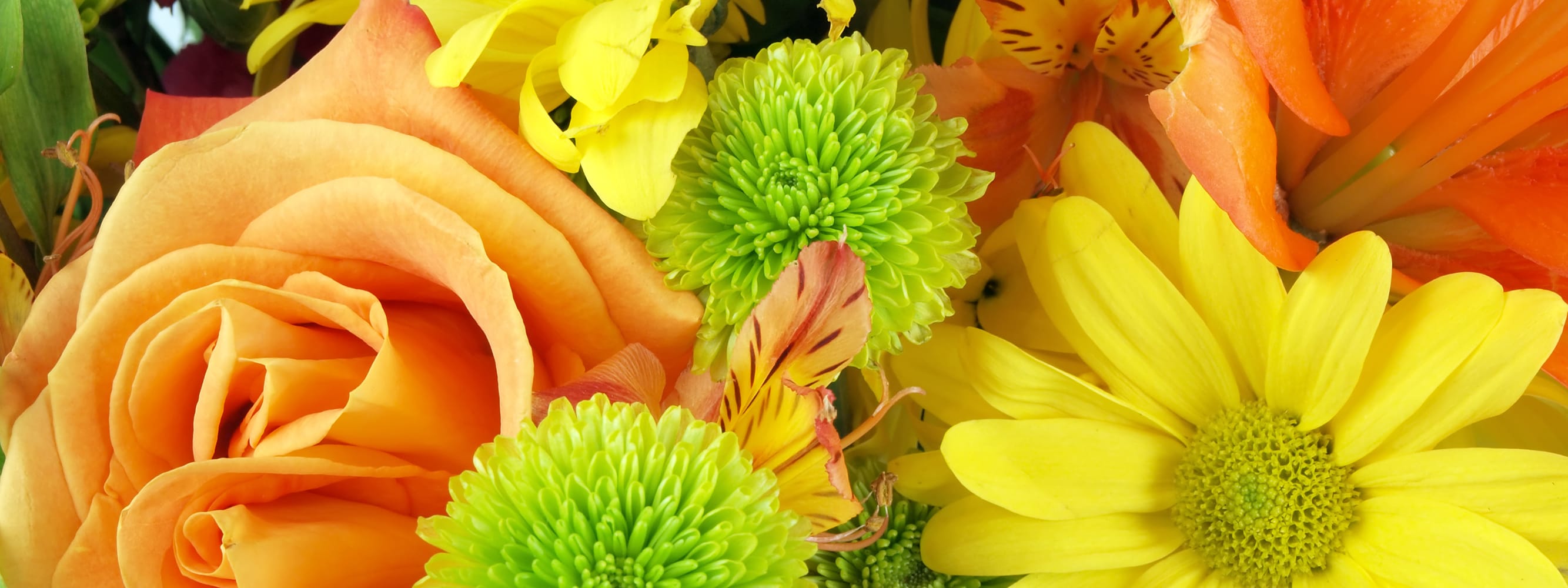 Tucson Florist Flower Delivery by Bloomie's Flowers