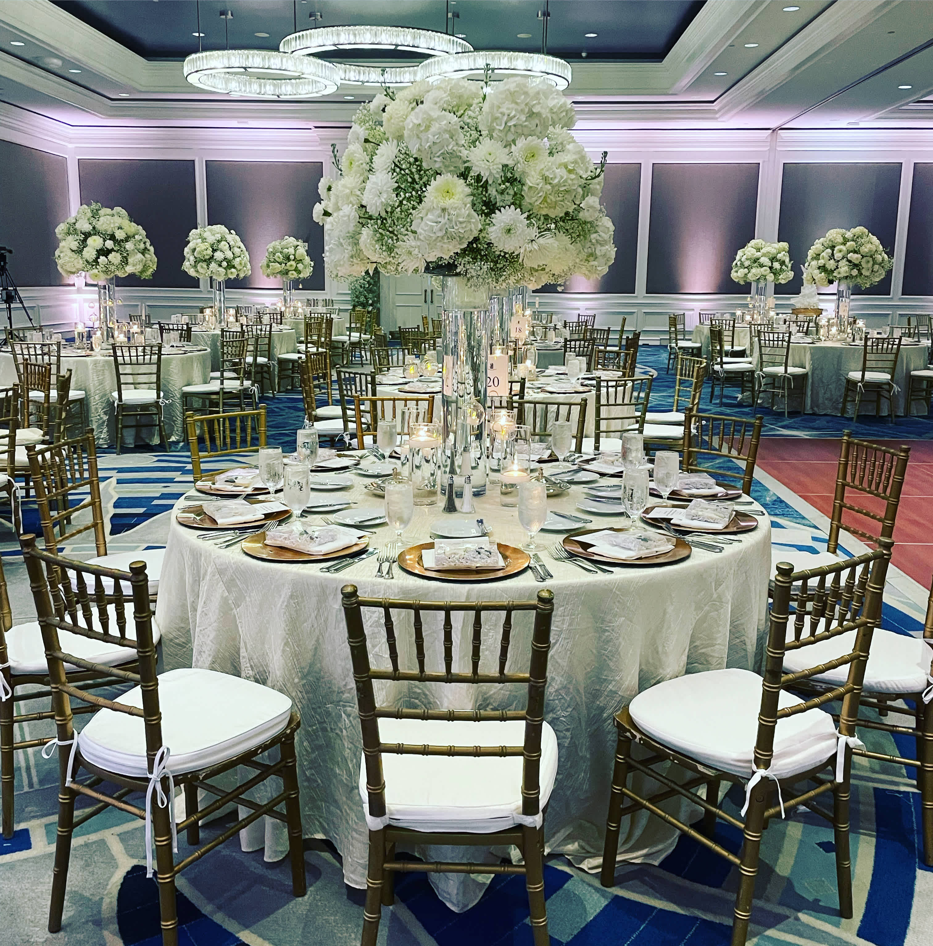 Premium Wedding Gallery 