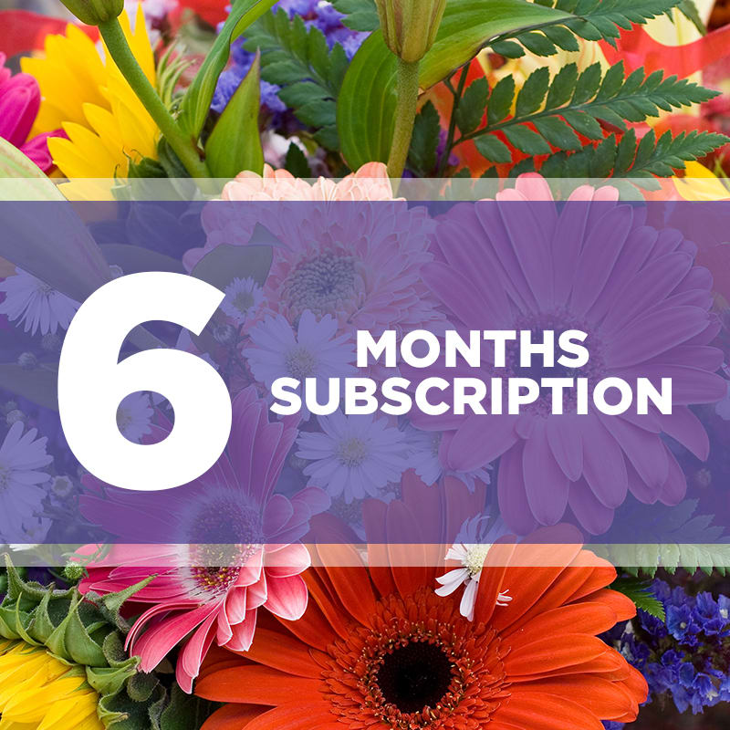 six month flower subscription