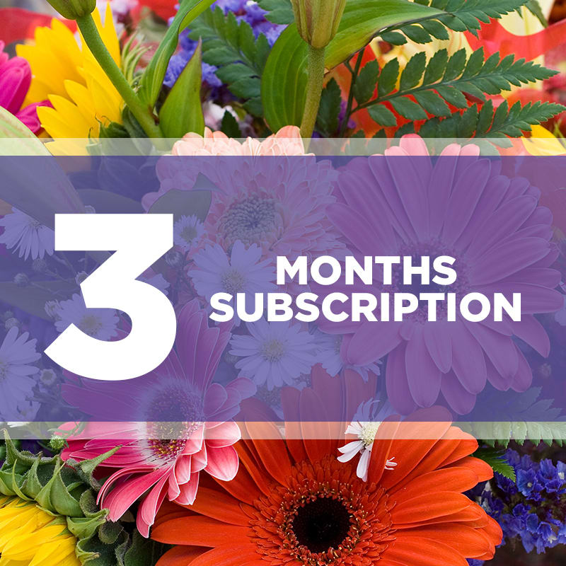 3 month flower subscription