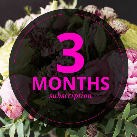 3 month subscription