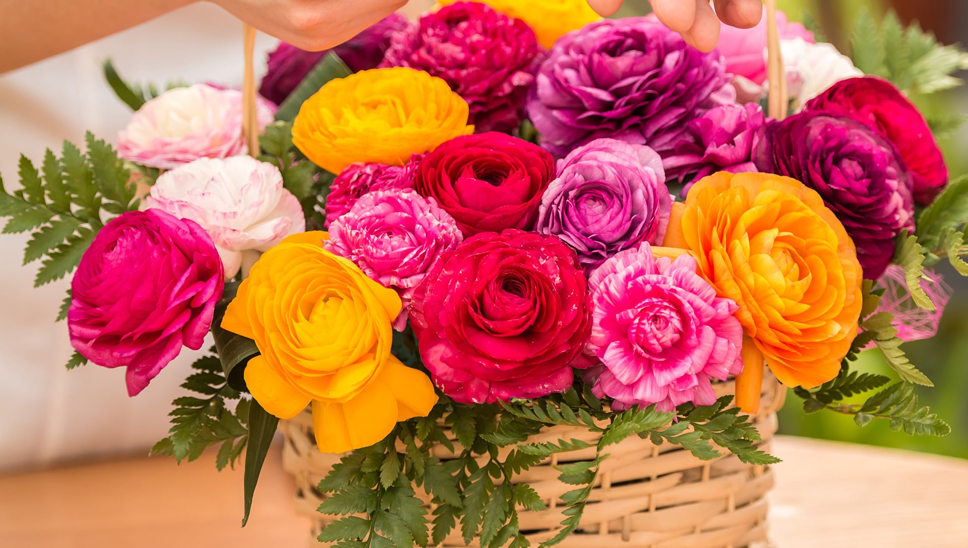 Santa Clara Florist Flower Delivery by California Flower Shop