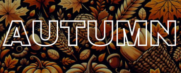 Autumn Flowers In Season