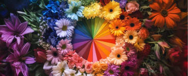 Flower Colors & Their Meanings