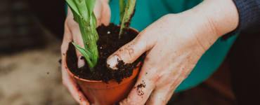 Plant Rehab Service In Muncie