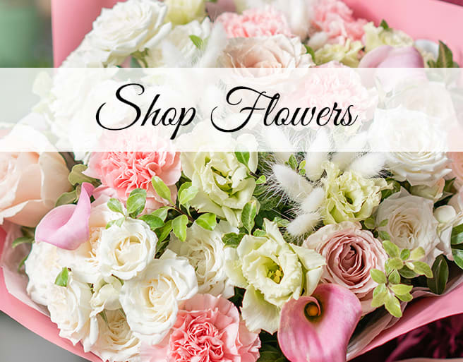 Rose Petals Chicago Florists - Flowers Chicago IL - Designs By  Rosa-Downtown Chicago Premier Florist