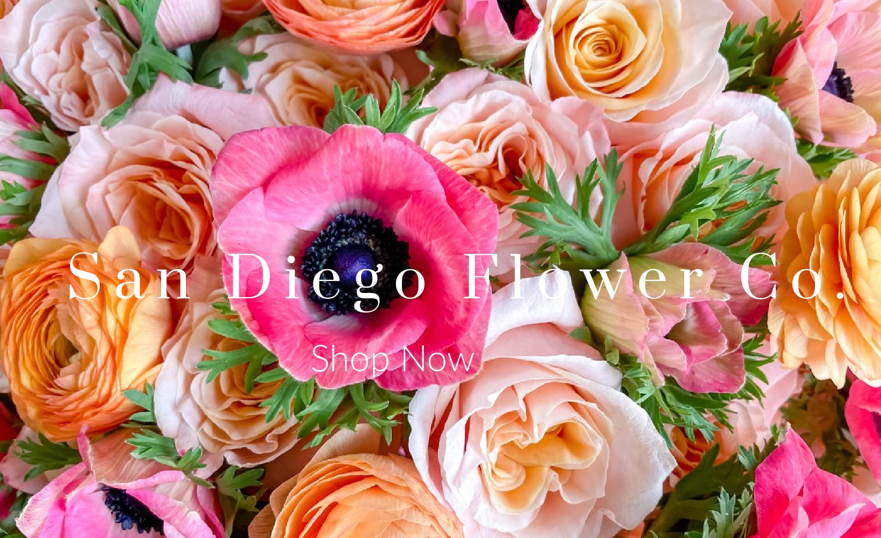 Carlsbad Florist Flower Delivery by San Diego Flower Co.