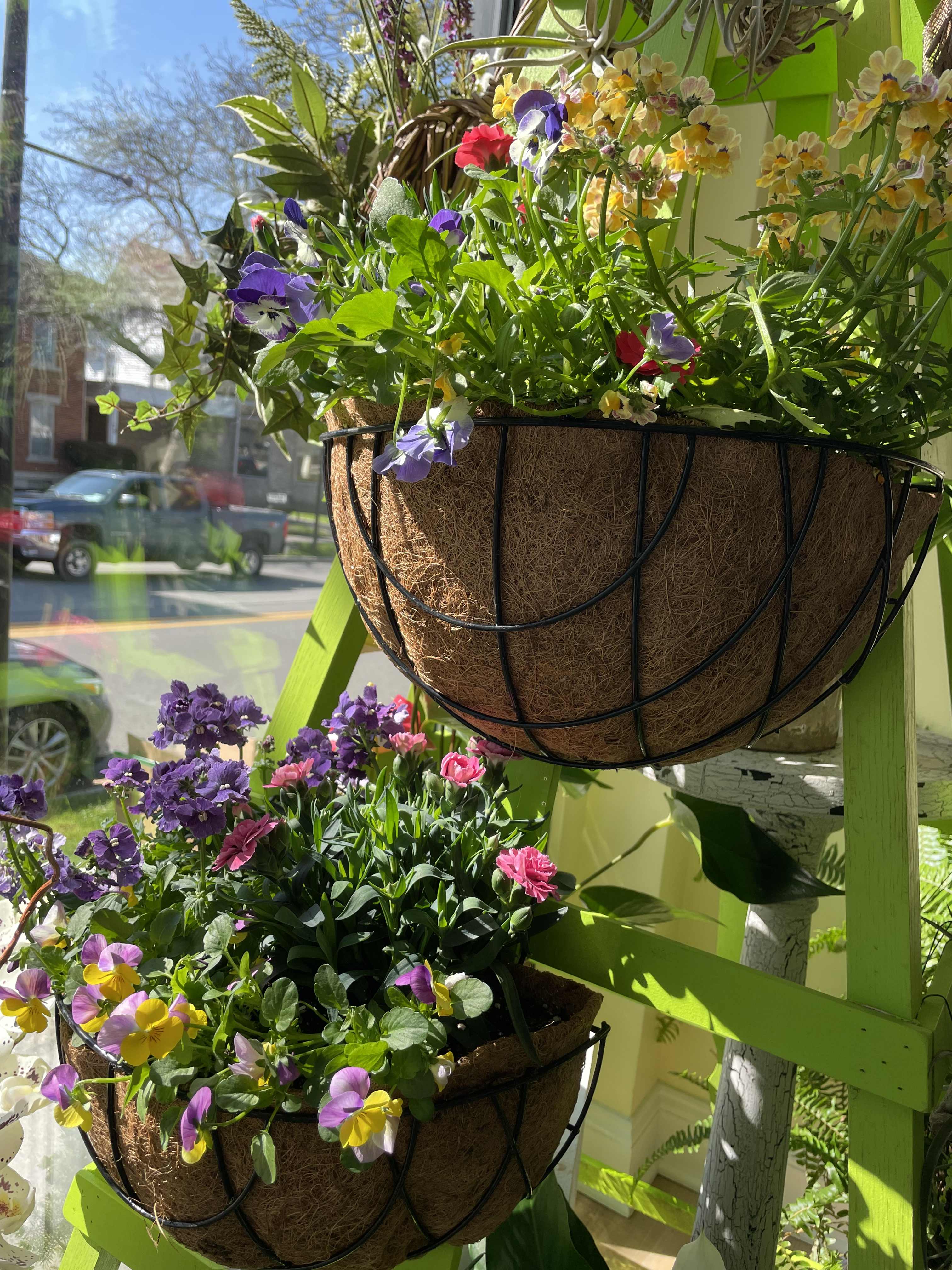 Plant baskets for Mothers Day