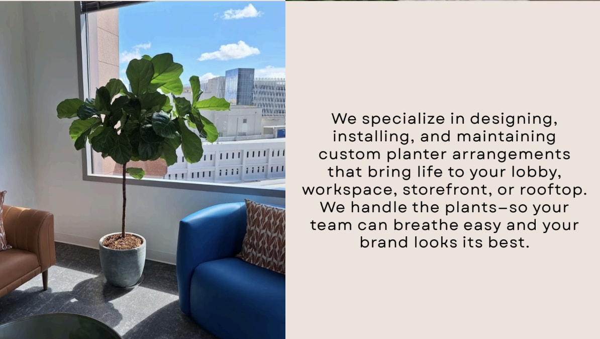 Will williams started his gardening journey with a birdhouse over 30 years ago. He had worked with Piedmont Park Conservancy, Atlanta Botanical Garden and a numerous residences to create custom gardenscapes. Create a persoanl greenspace for your leisure