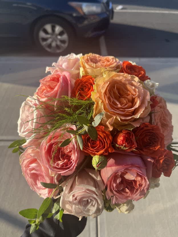 The Language of Roses: Understanding colors