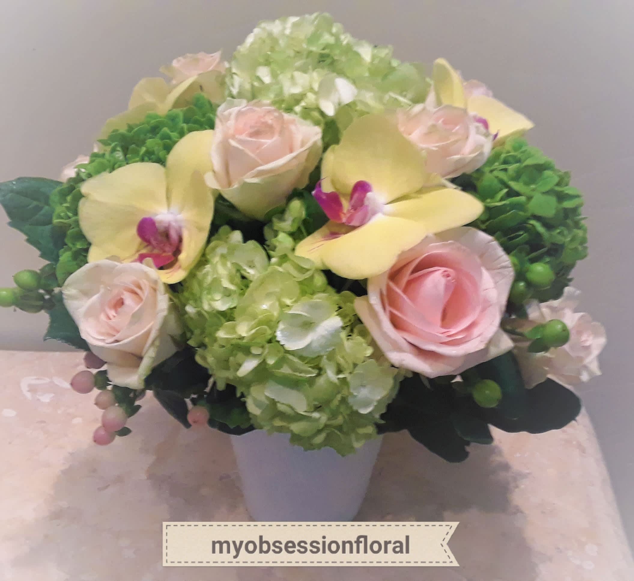 Orchid flower spotlight.