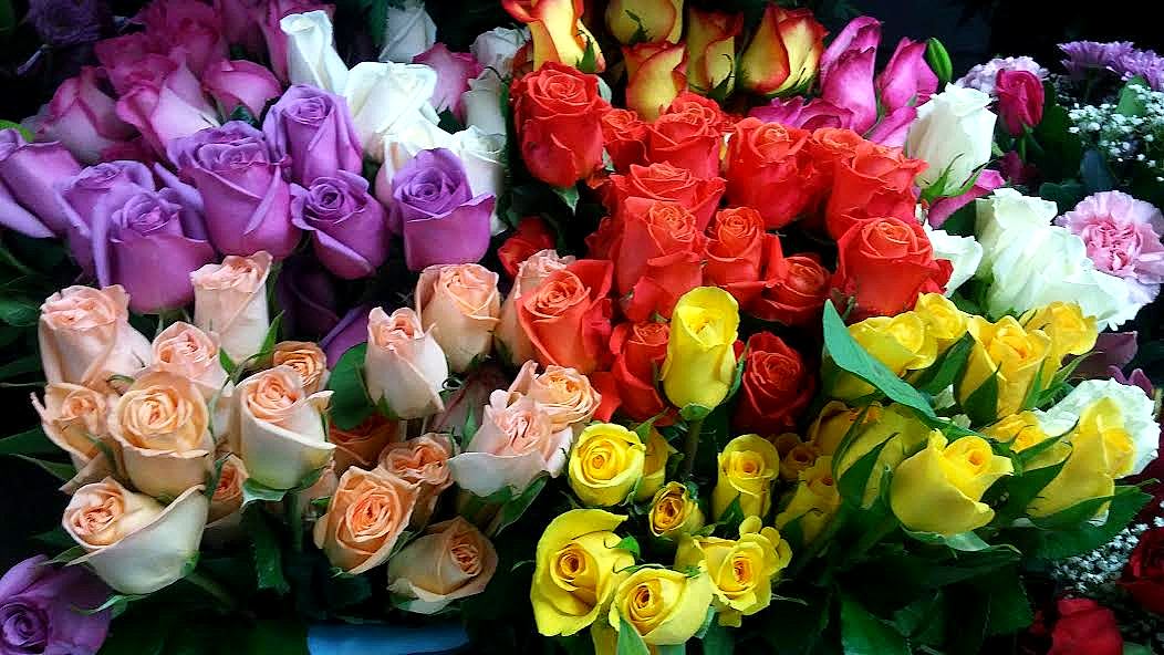 International Woman's Day and it's history.