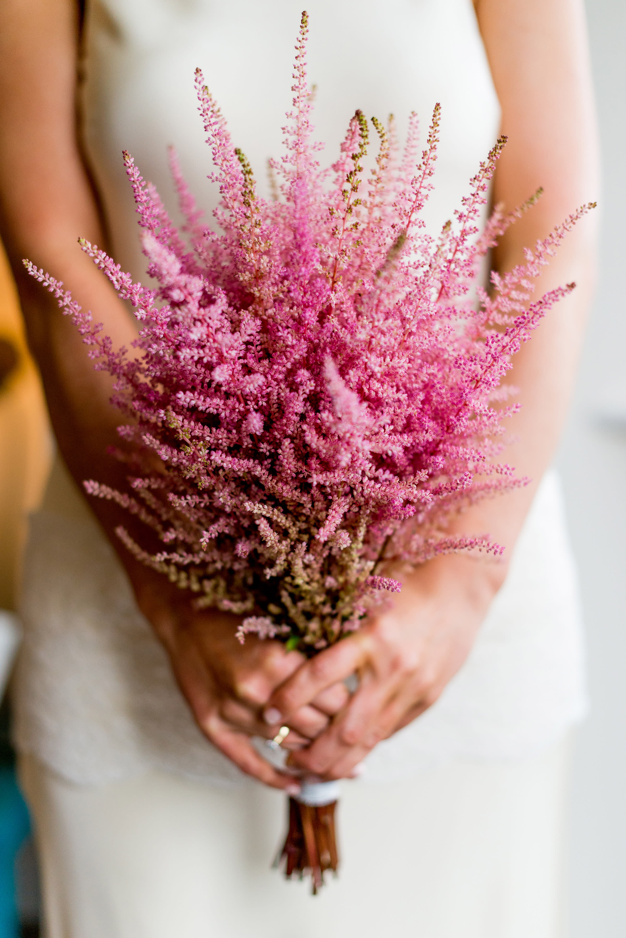 astilbe