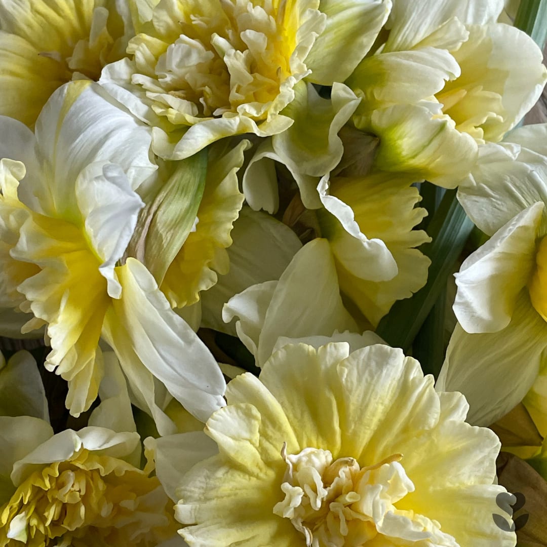 RESPONSIBILITY: Why We Love Sourcing Local Flowers