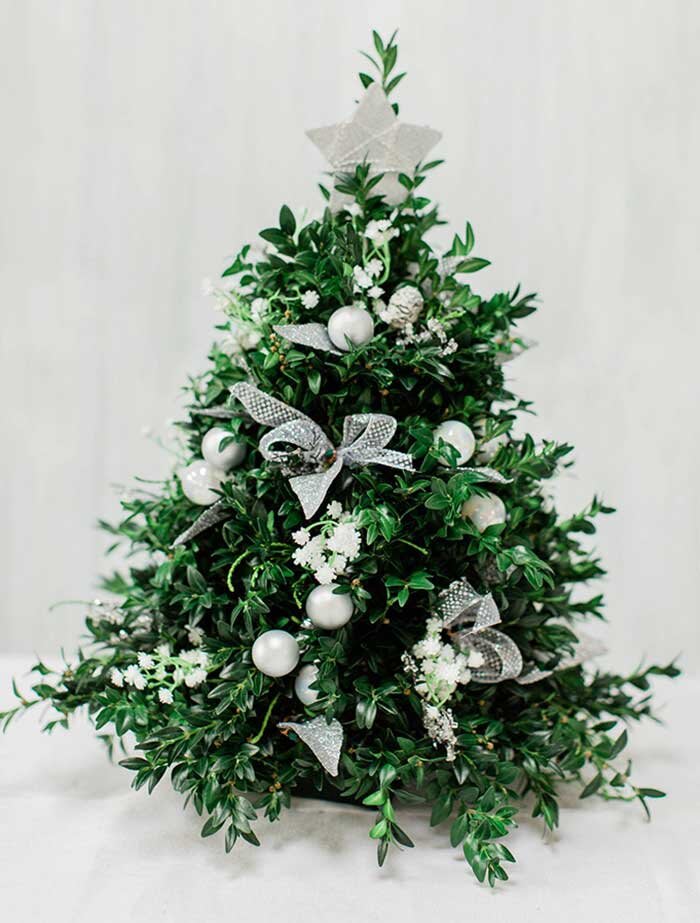 Boxwood Trees | The Boros Floral Boutique (formerly known as Copper ...