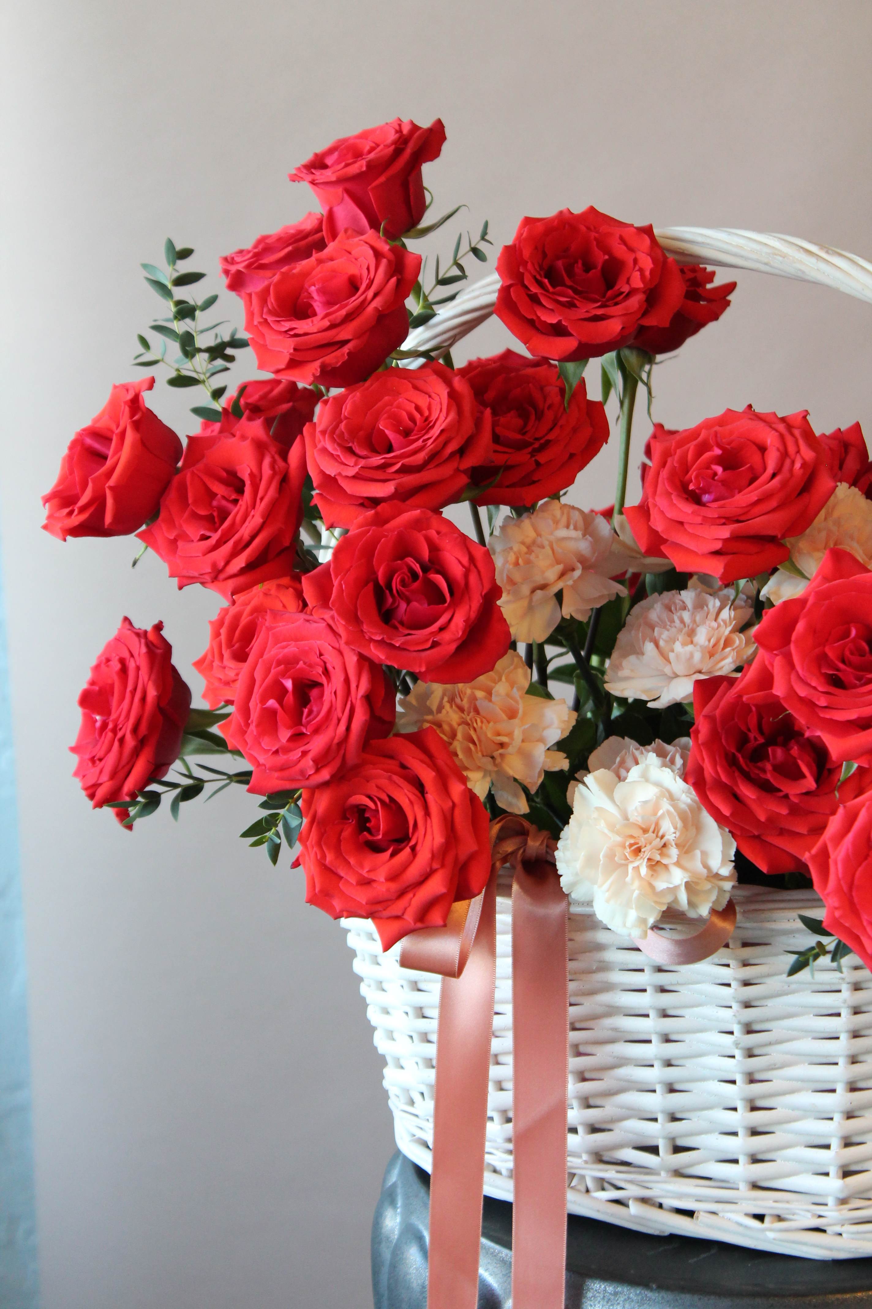 Valentine’s Favorites in Red from Holex