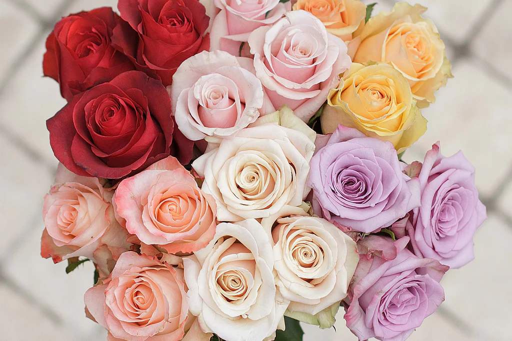 The Fascinating Meanings Behind Colors of Roses