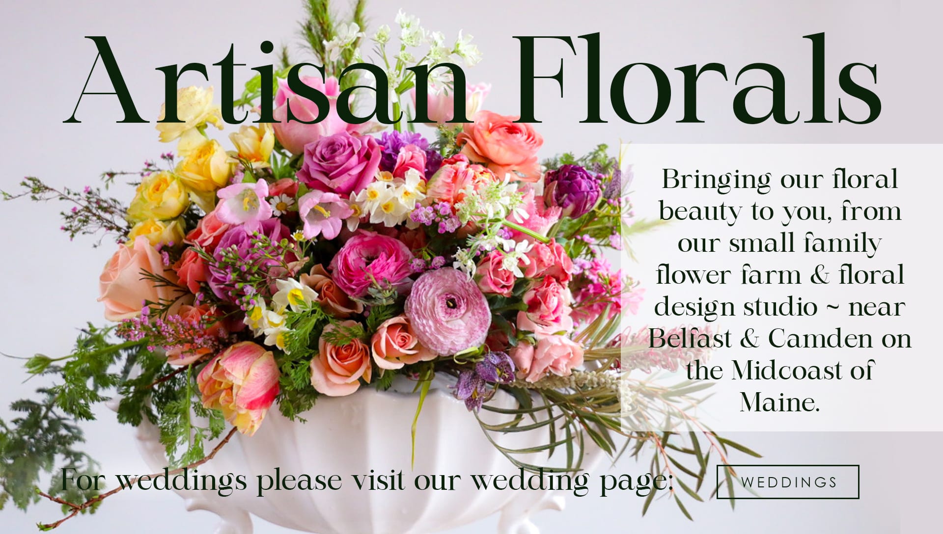 Belmont, Belfast, And Camden Florist Flower Delivery by Leafsong Florals