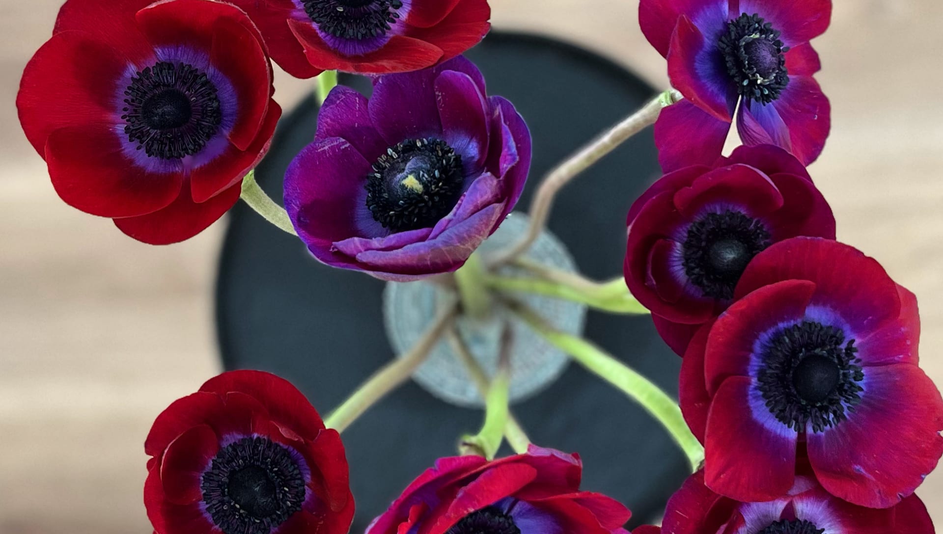 Gilbert Florist Flower Delivery by Sagebrush