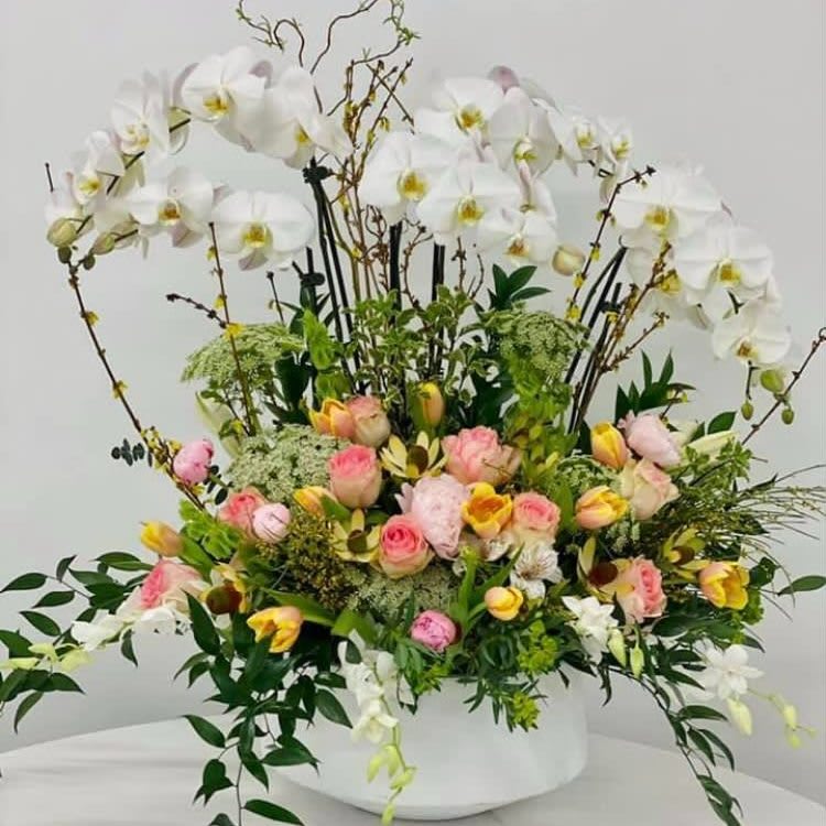 Orchids: The Symbolism, Meaning, Flower Language