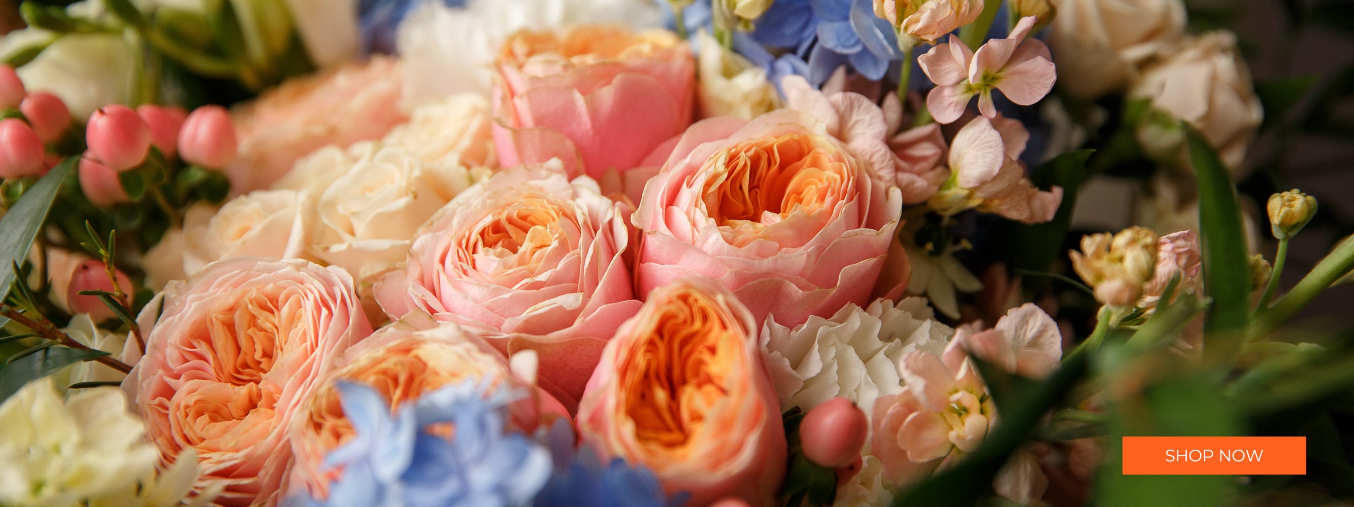 Lubbock Florist Flower Delivery by Box of Rain Floral