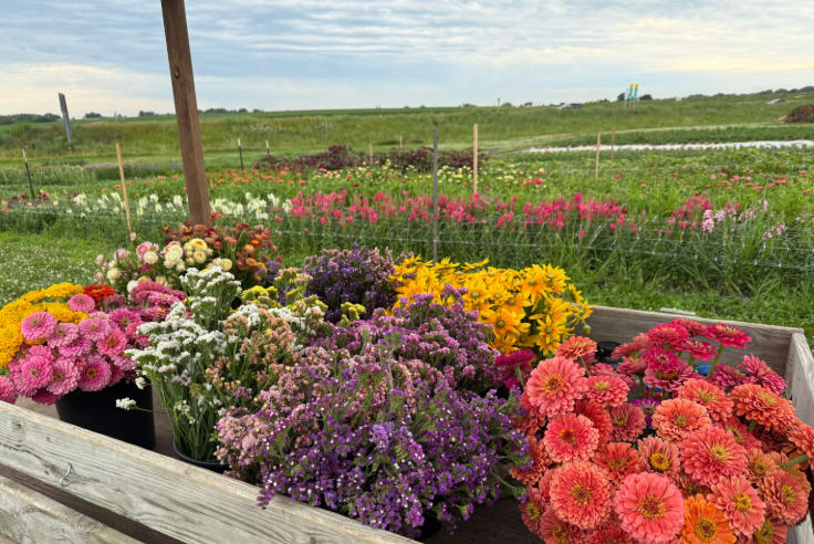 Farm Fresh Flowers