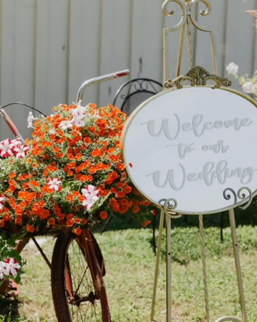 Wild Daisy Wedding May 2024'