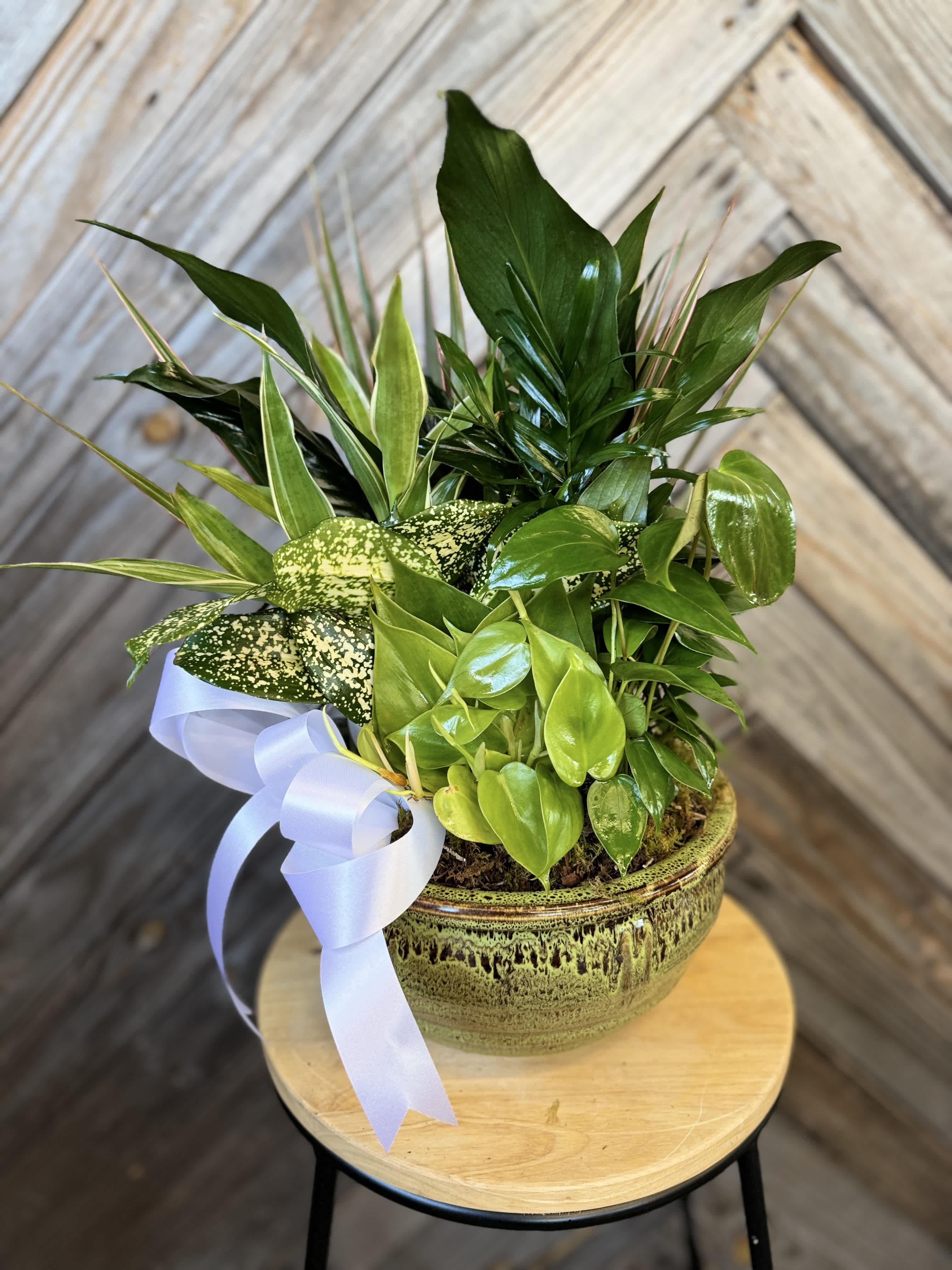  Honoring Loved Ones: Dish Gardens as Meaningful 