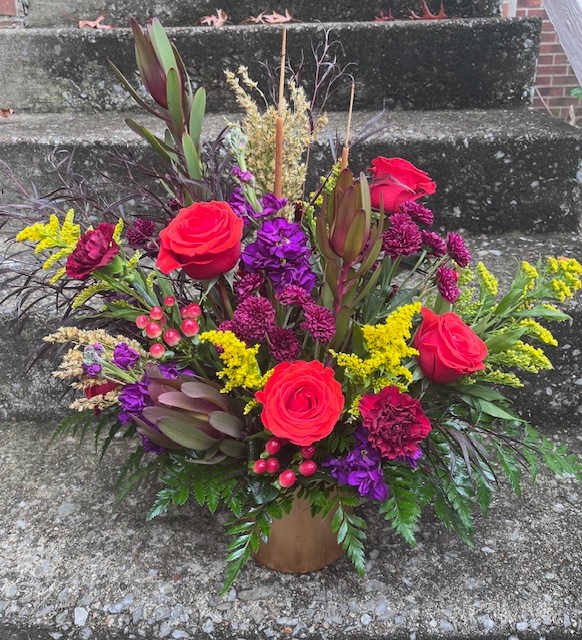 Spotlight of the week!