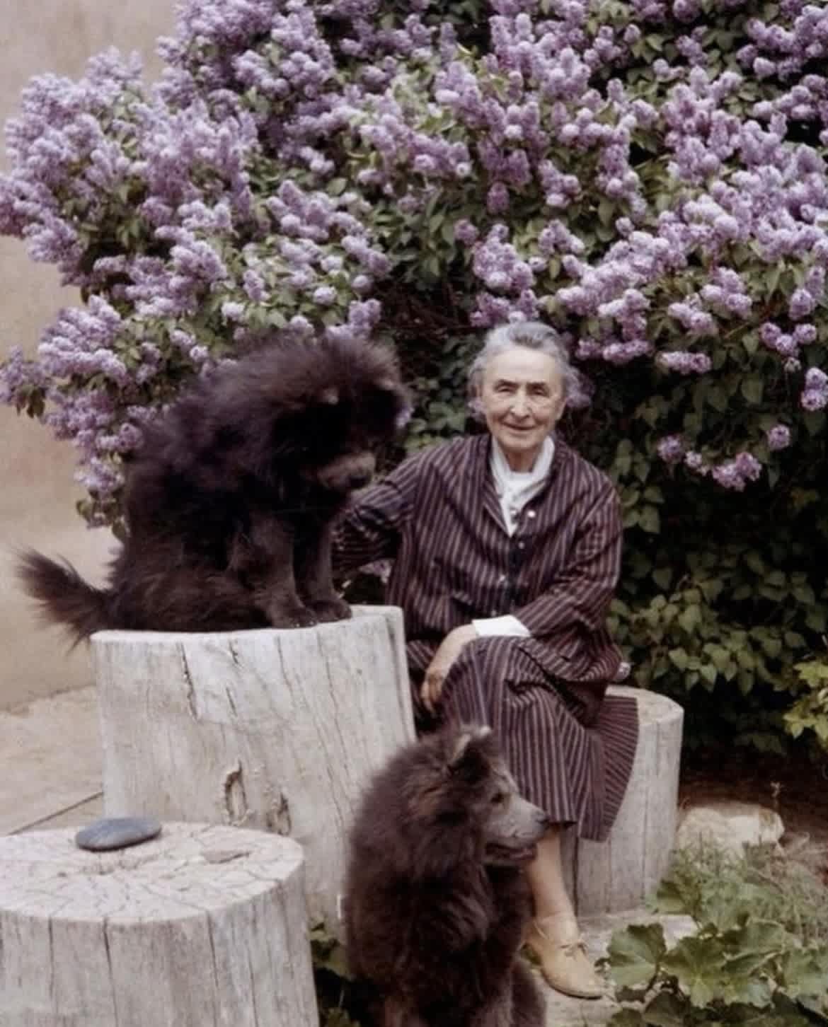 ​Georgia O'Keeffe Loved lilac tree ! 