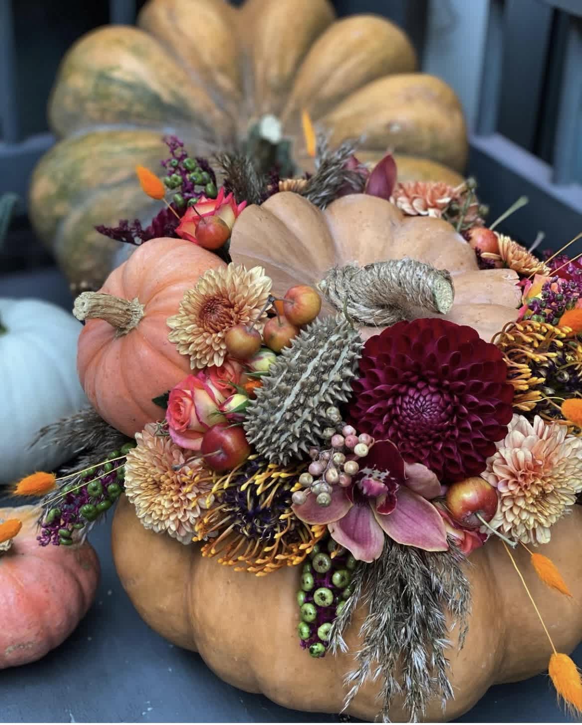 Pumkins, flowers, and the power of transformation 