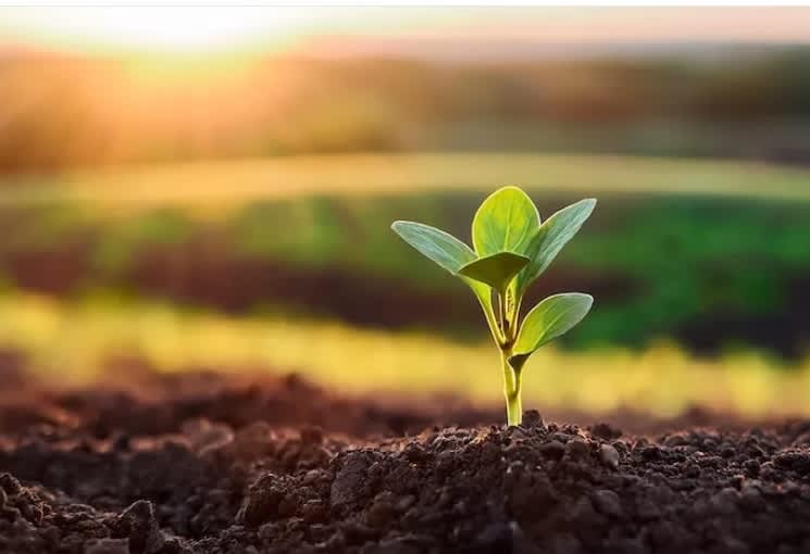 A week of reflection and renewal (Jim McCann 1-800 Founder/Chairman))