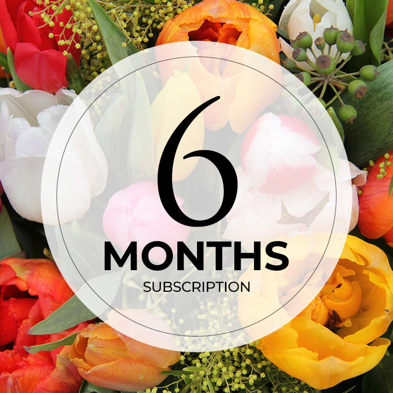 6 month flower subscription