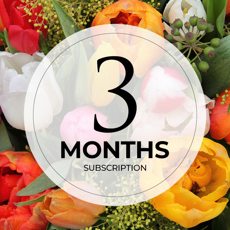 3 month flower subscription