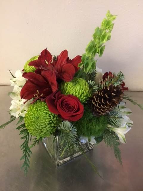 Holiday Blooms That Will Deck Your Halls