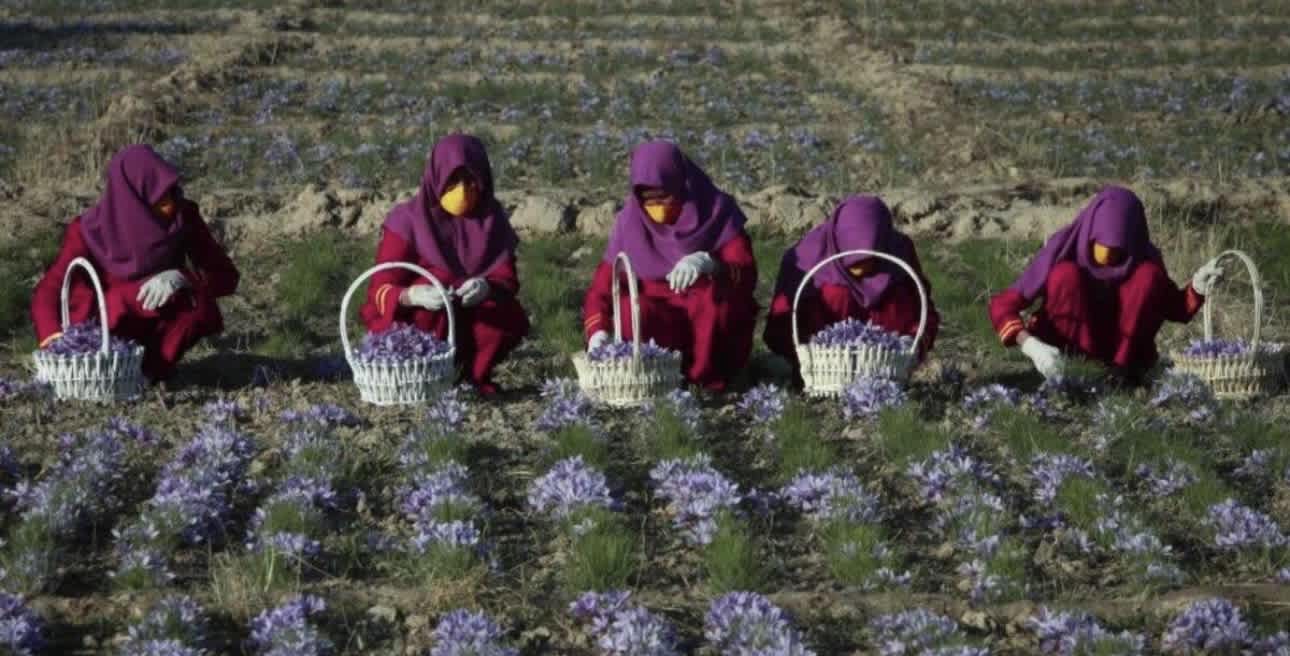 From the Ground Up: How Women Can Feed Themselves Through Economic and Infrastructure Change