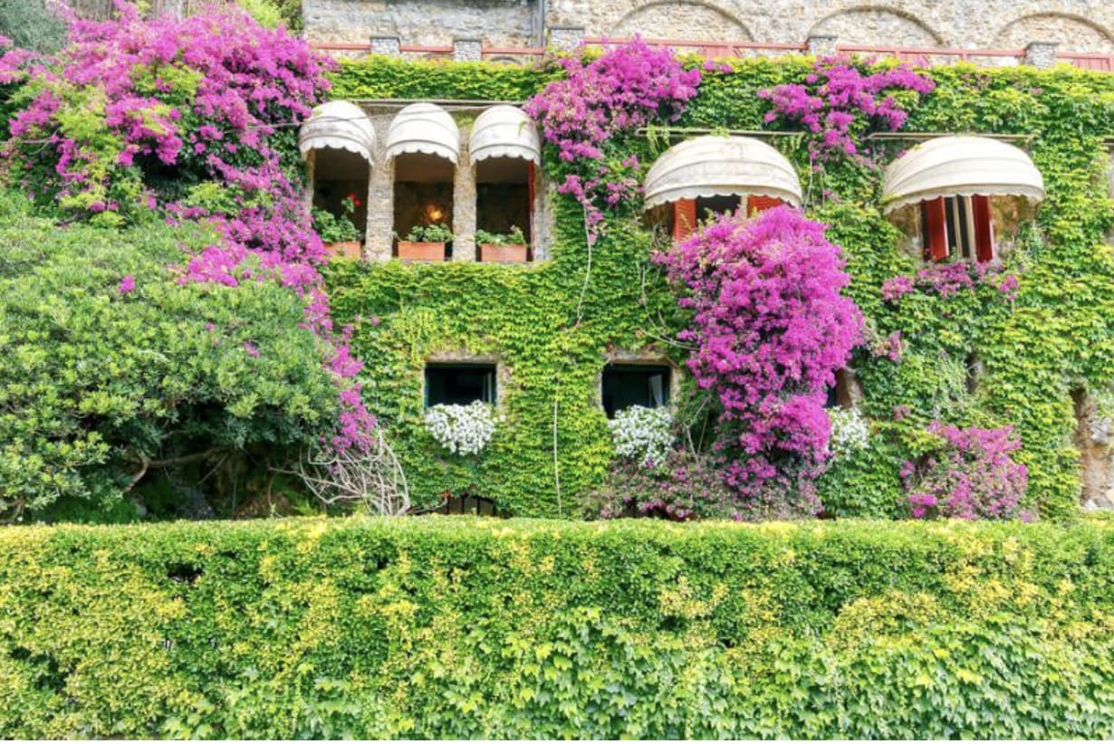 Blooms and Culture: A Glimpse into Italy’s Flourishing Floral Industry: December 2023