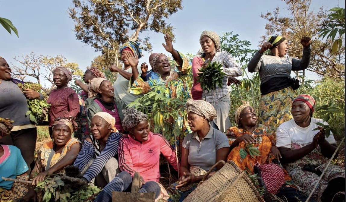 Growing From the Ground: Women, Food Security, and Resilience During Economic and Infrastructure Change