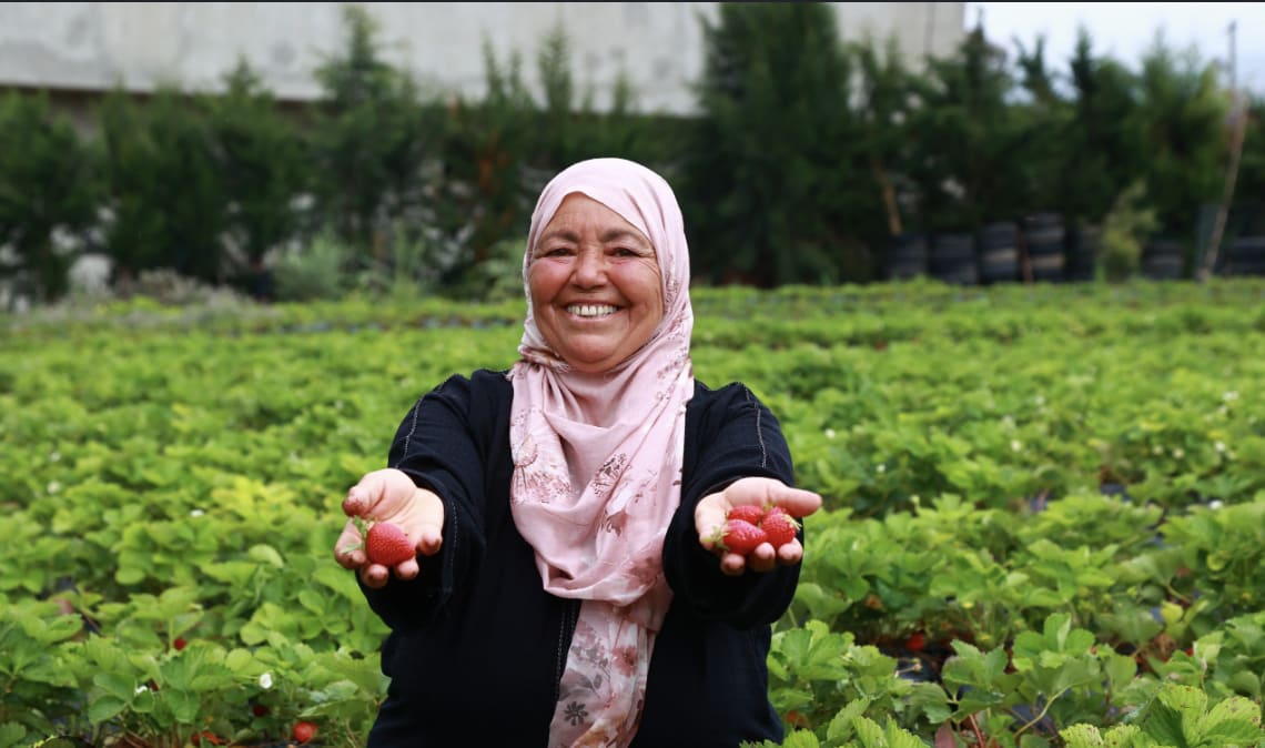 When Global Economics Reaches the Garden: Sanctions, Food Security, and Agricultural Resilience