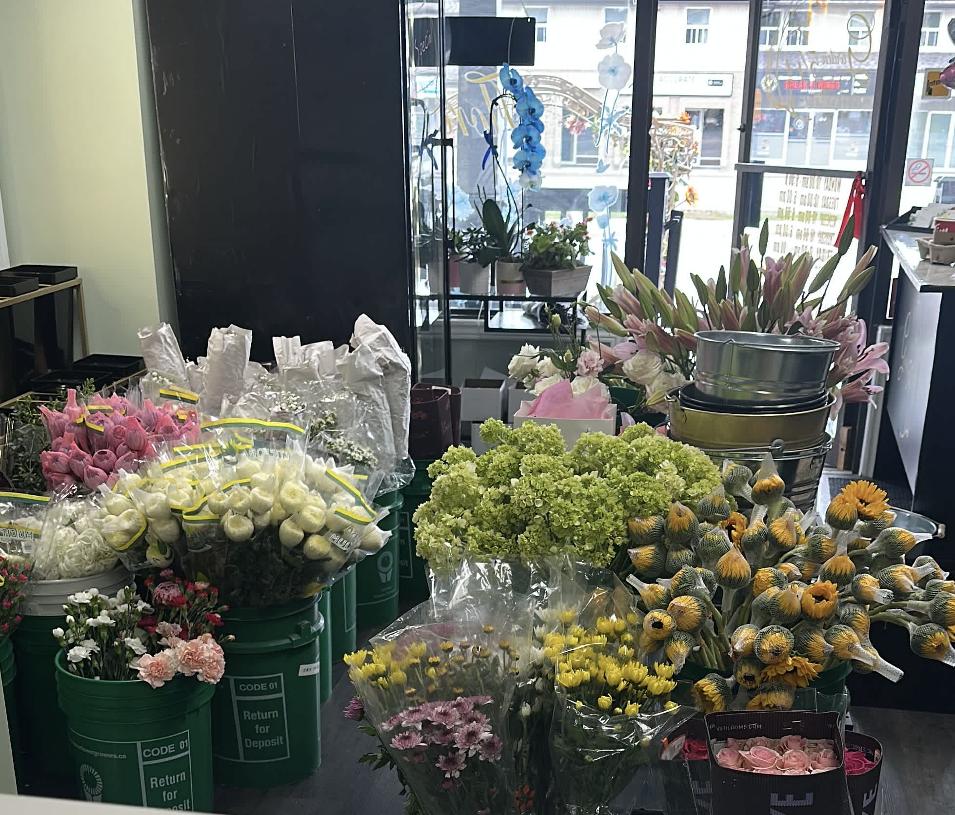 How to care for flowers!
