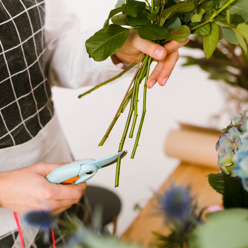 Basic Flower Care Tips