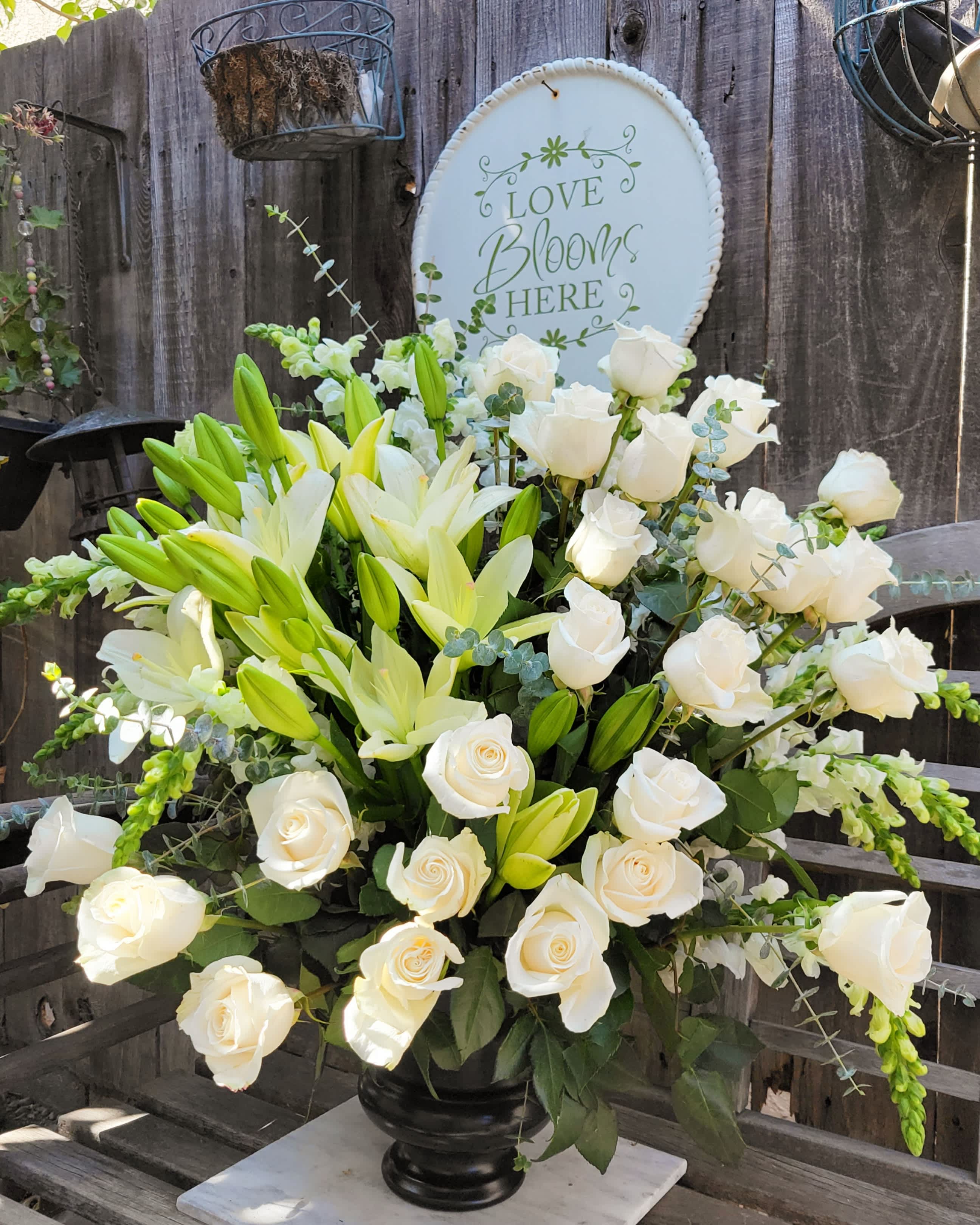 Grand Website Launch!