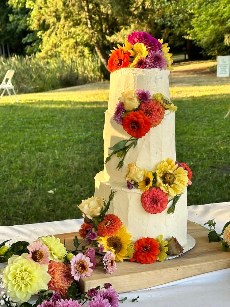 Cake Image 8