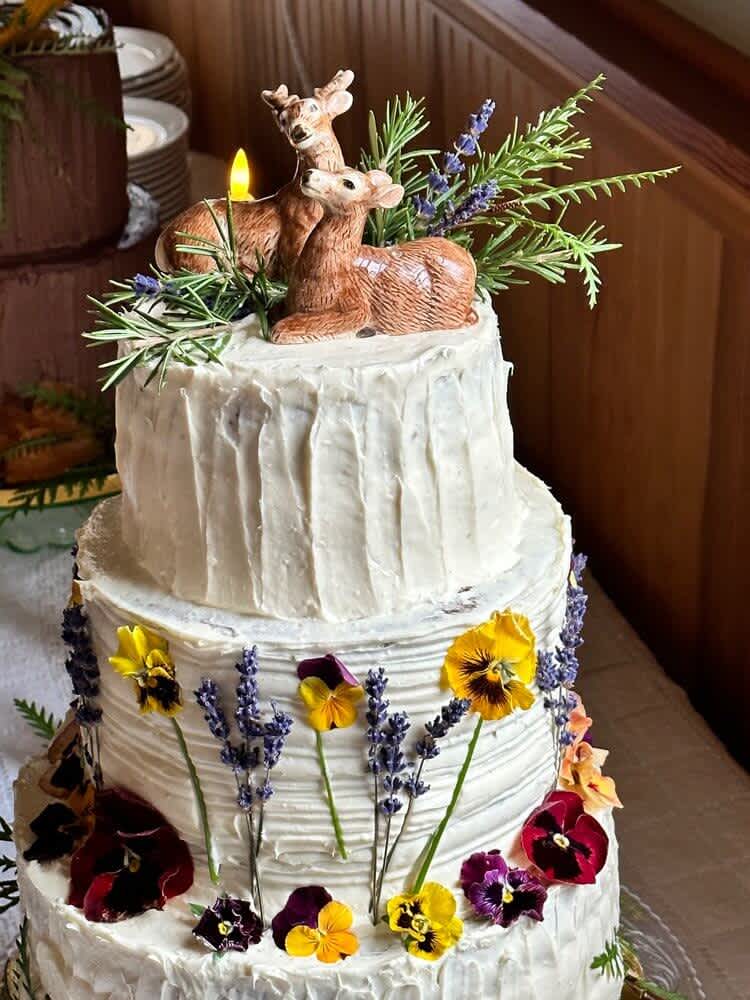 Cake Image 14